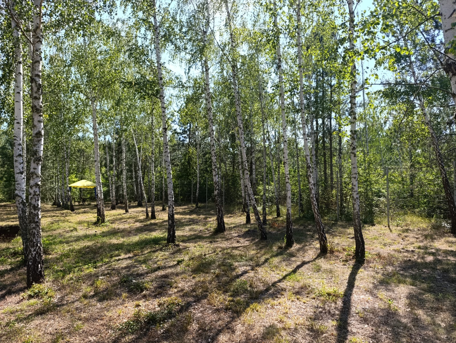 Галерея